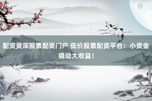 配资资深股票配资门户 低价股票配资平台：小资金撬动大收益！