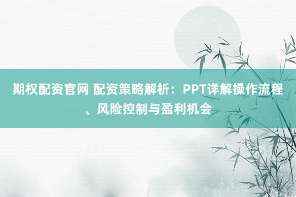 期权配资官网 配资策略解析：PPT详解操作流程、风险控制与盈利机会