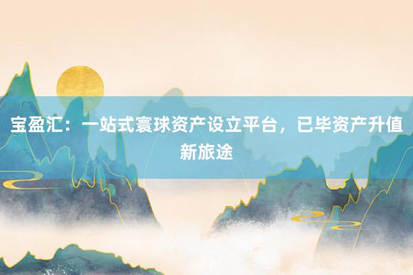 宝盈汇：一站式寰球资产设立平台，已毕资产升值新旅途
