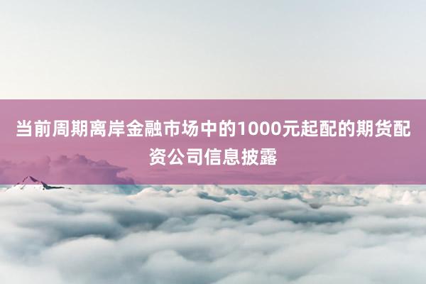 当前周期离岸金融市场中的1000元起配的期货配资公司信息披露