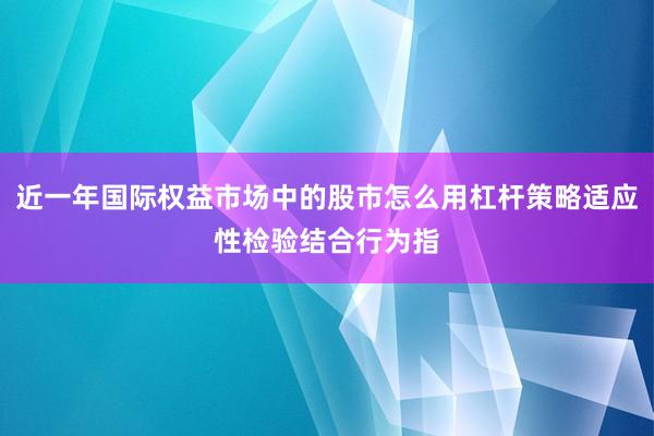 近一年国际权益市场中的股市怎么用杠杆策略适应性检验结合行为指