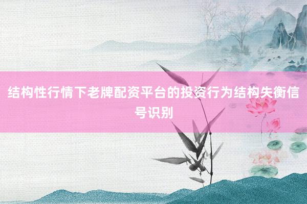 结构性行情下老牌配资平台的投资行为结构失衡信号识别