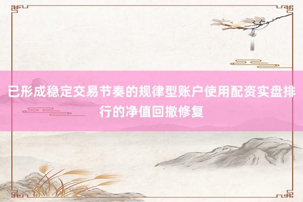 已形成稳定交易节奏的规律型账户使用配资实盘排行的净值回撤修复
