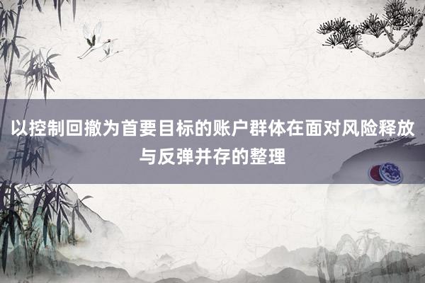 以控制回撤为首要目标的账户群体在面对风险释放与反弹并存的整理