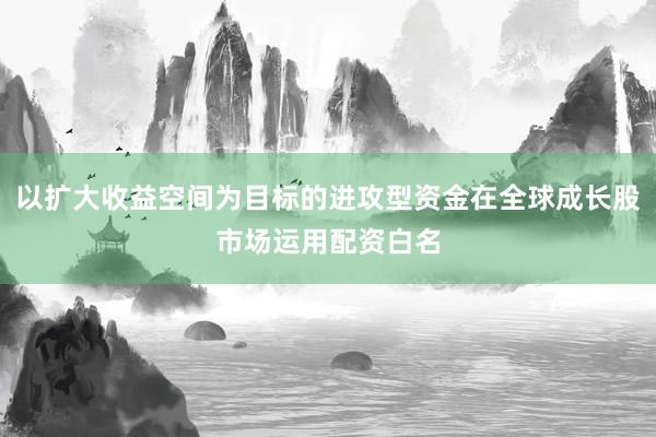 以扩大收益空间为目标的进攻型资金在全球成长股市场运用配资白名