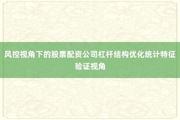 风控视角下的股票配资公司杠杆结构优化统计特征验证视角