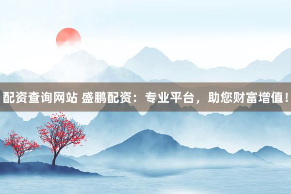 配资查询网站 盛鹏配资：专业平台，助您财富增值！