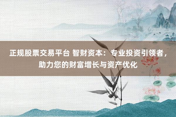 正规股票交易平台 智财资本：专业投资引领者，助力您的财富增长与资产优化