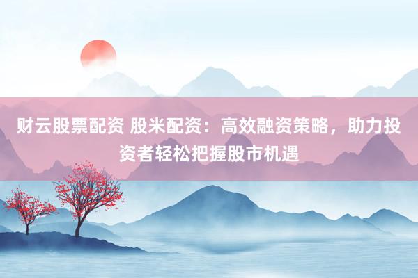 财云股票配资 股米配资：高效融资策略，助力投资者轻松把握股市机遇