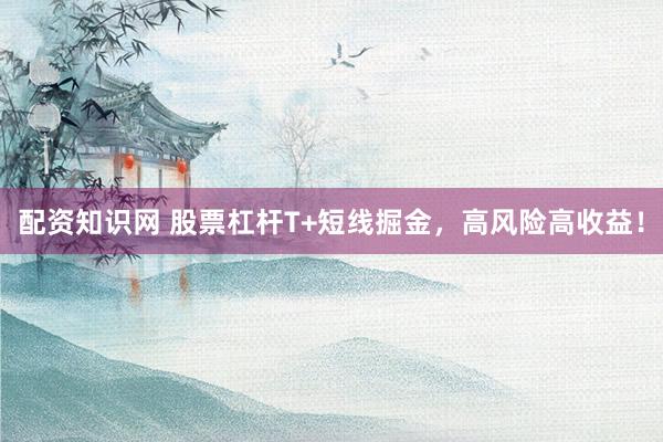 配资知识网 股票杠杆T+短线掘金，高风险高收益！